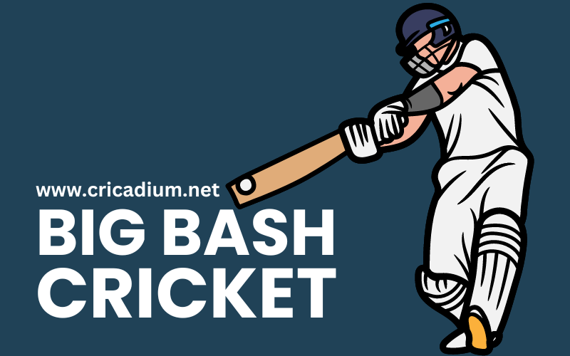 big bash cricket